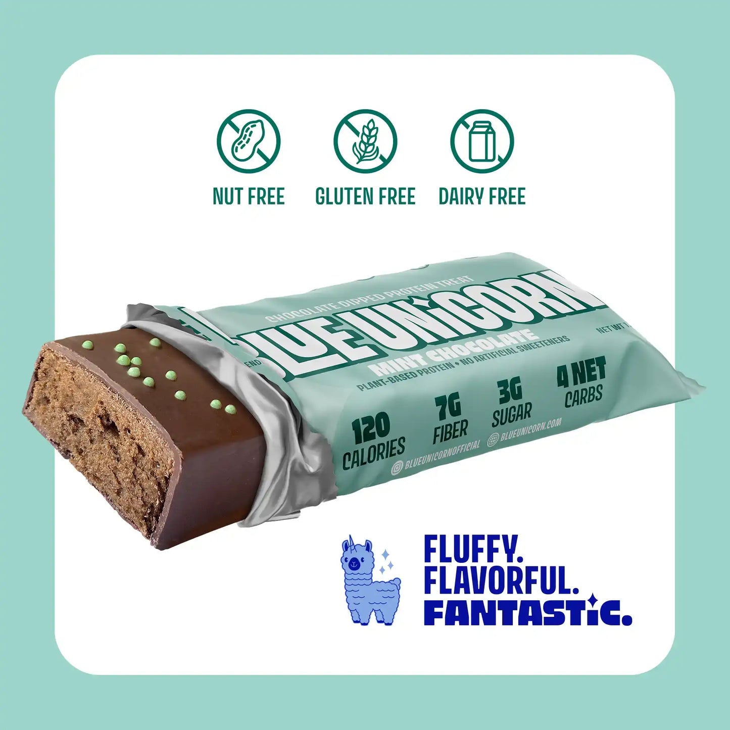 Mint Chocolate Protein Bar